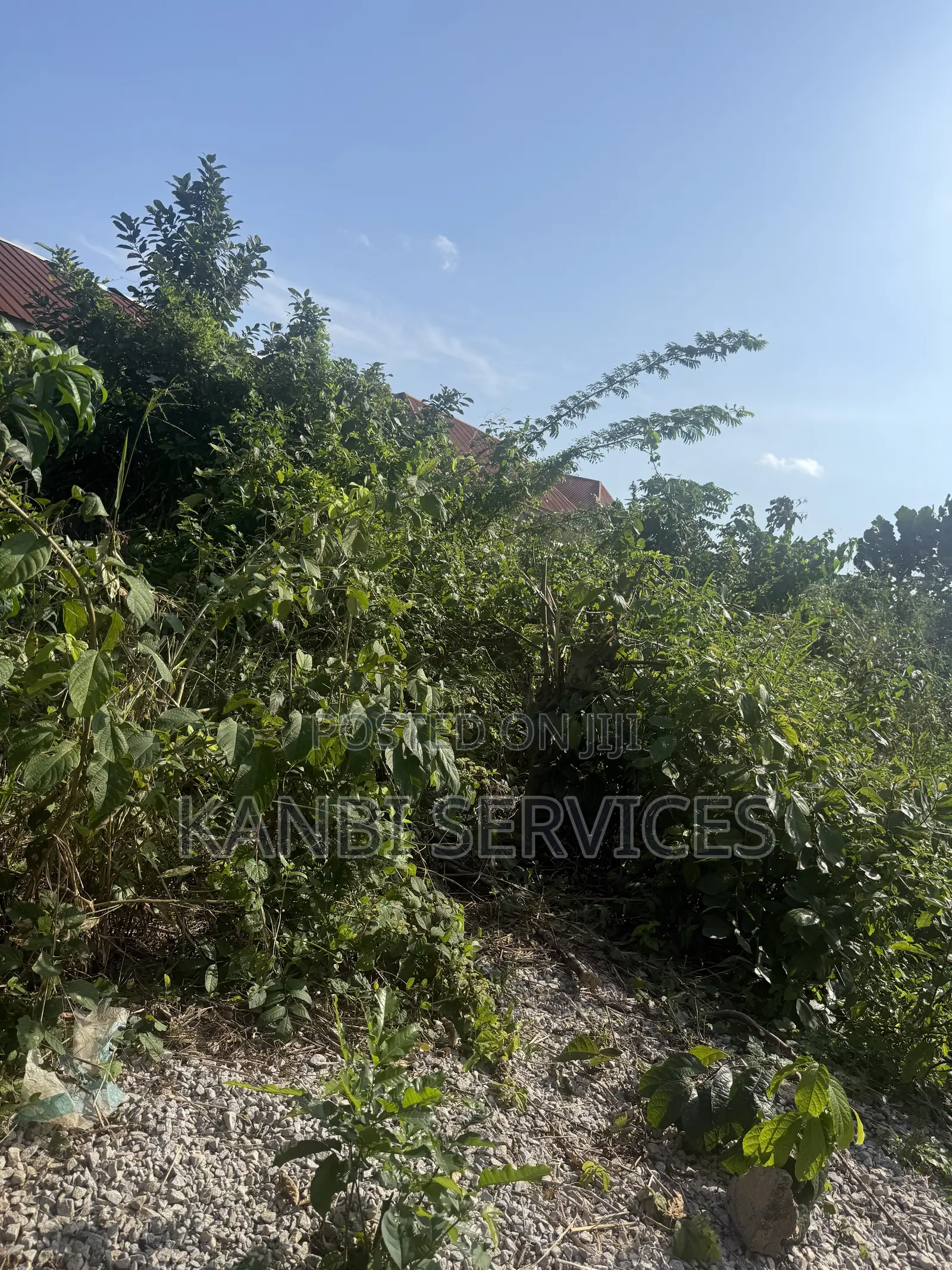 Half Plot of Land Available at Elepe in Ikorodu