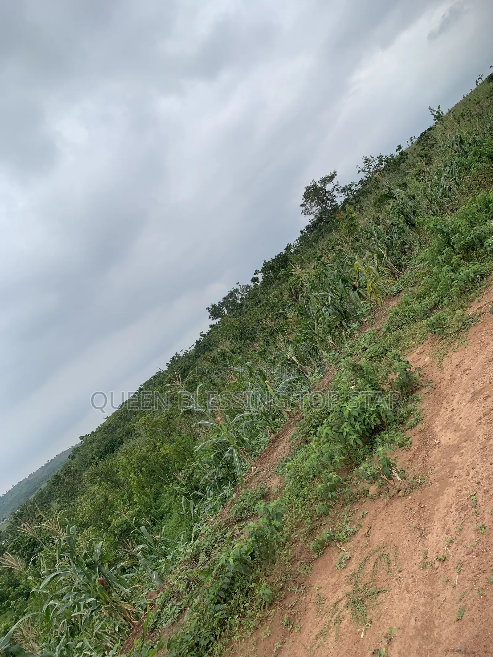 Signature Residence Guzape 2/ 500sqm in Guzape District