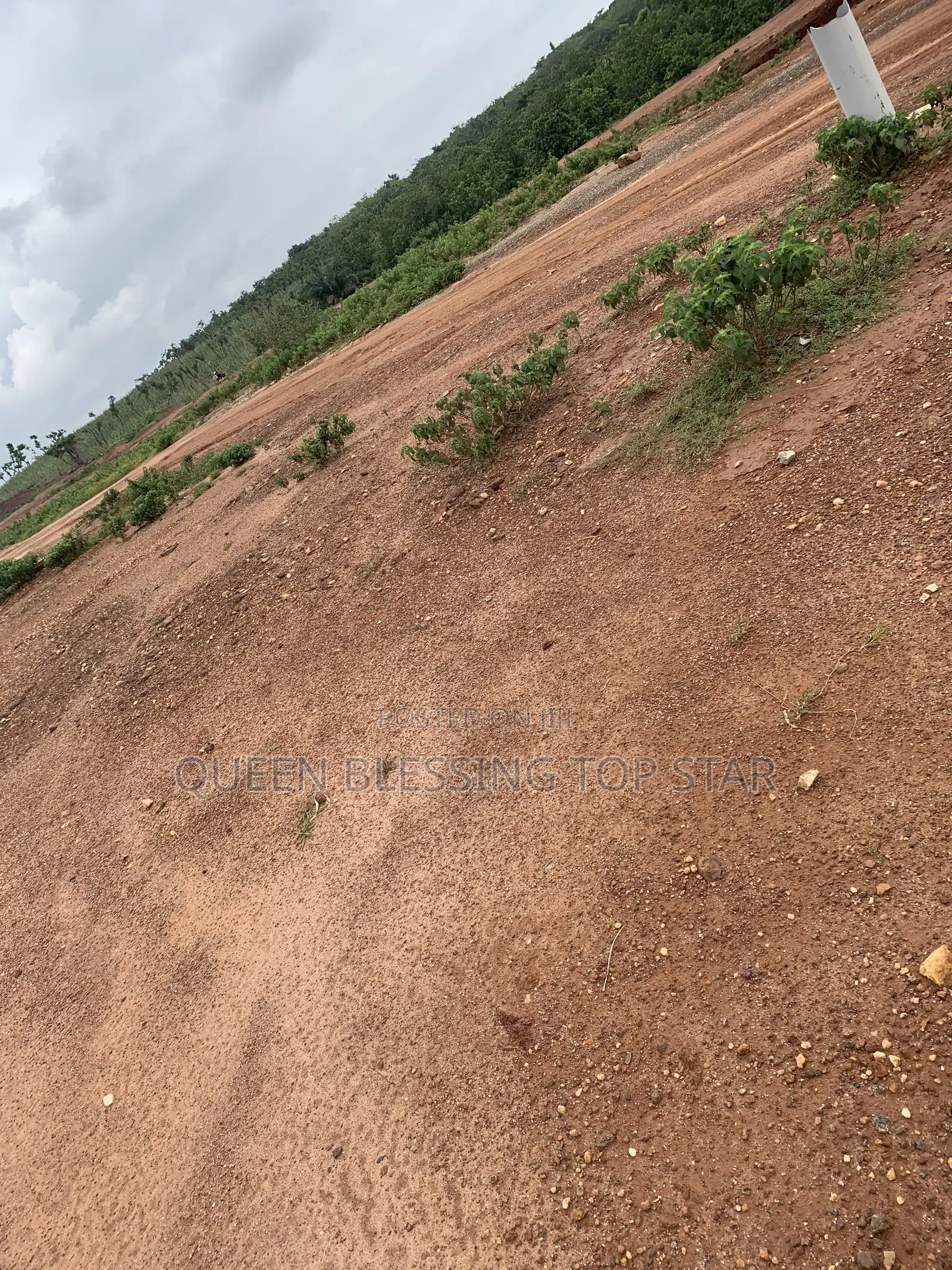 Signature Residence Guzape 2 /300sqm in Guzape District
