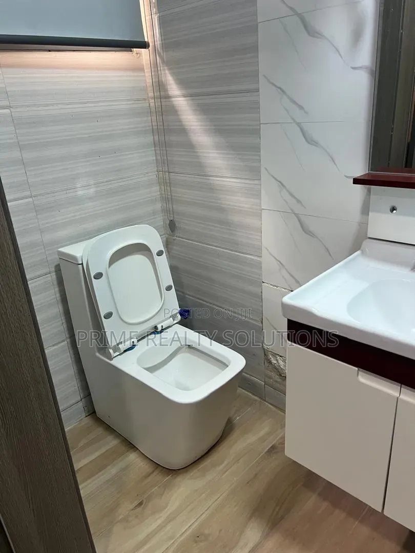 Furnished Mini Flat in Olori Mojisola, Banana Island for rent in Banana Island