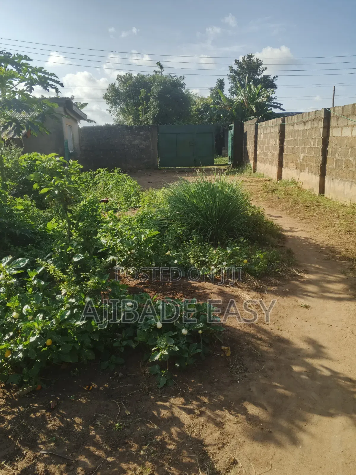 Almost Full Plot of Land With a Demolishable Structure in Ayobo