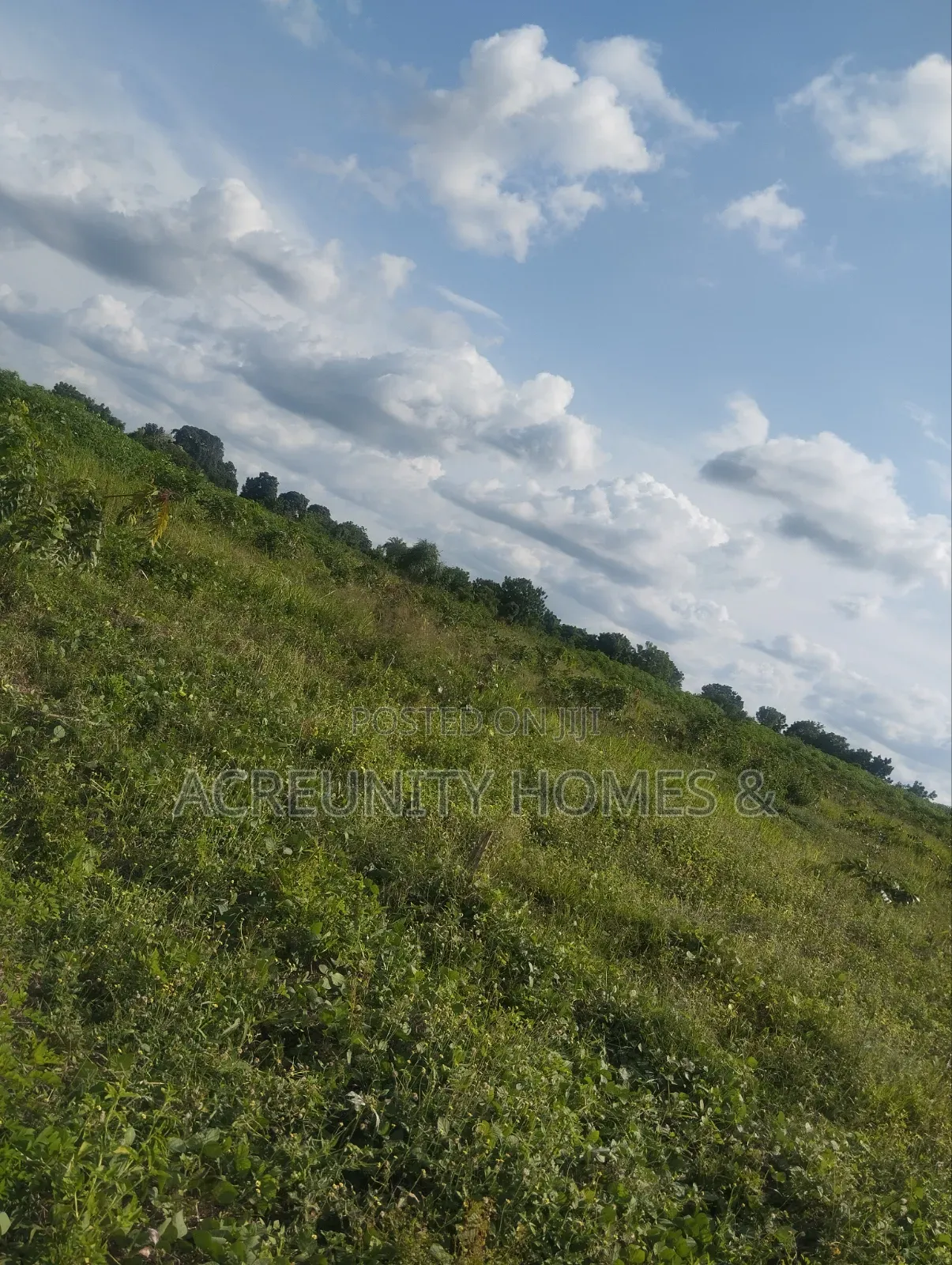 25 Acres of Commercial Land Along Federal Uni of Tech and Agri, Okeho in Kajola