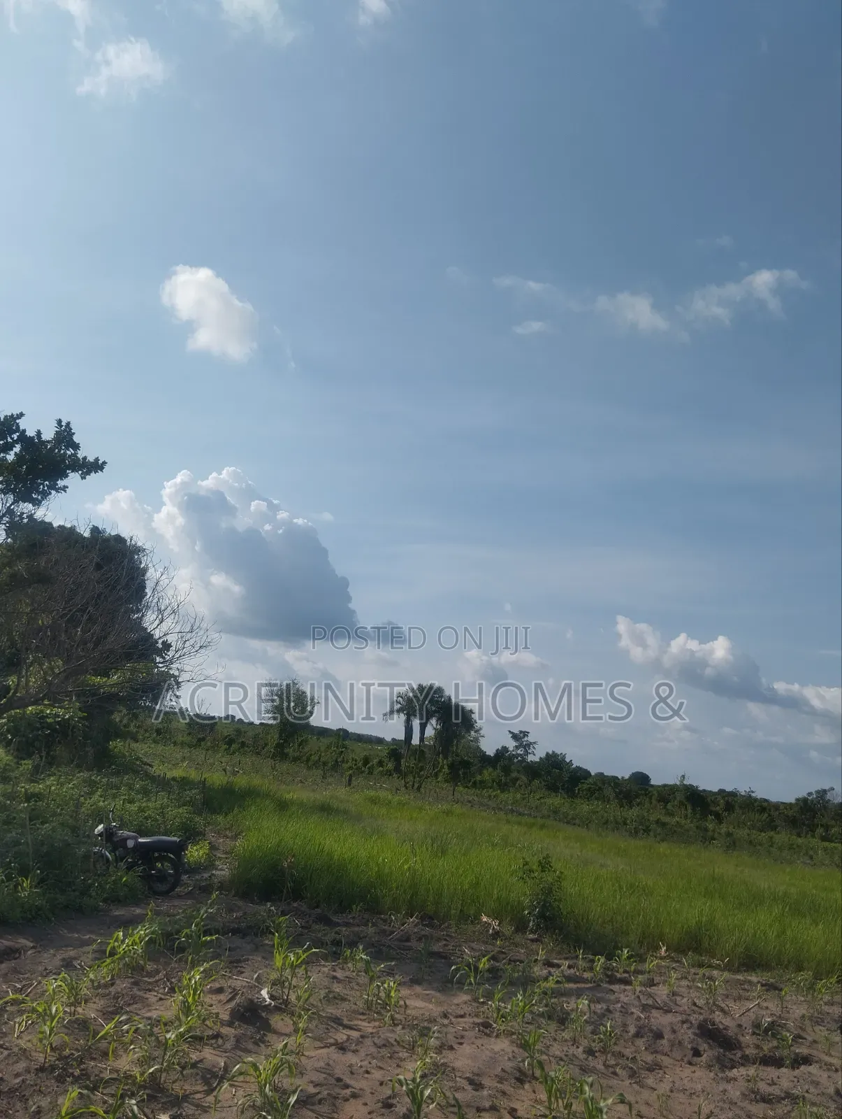 25 Acres of Commercial Land Along Federal Uni of Tech and Agri, Okeho in Kajola