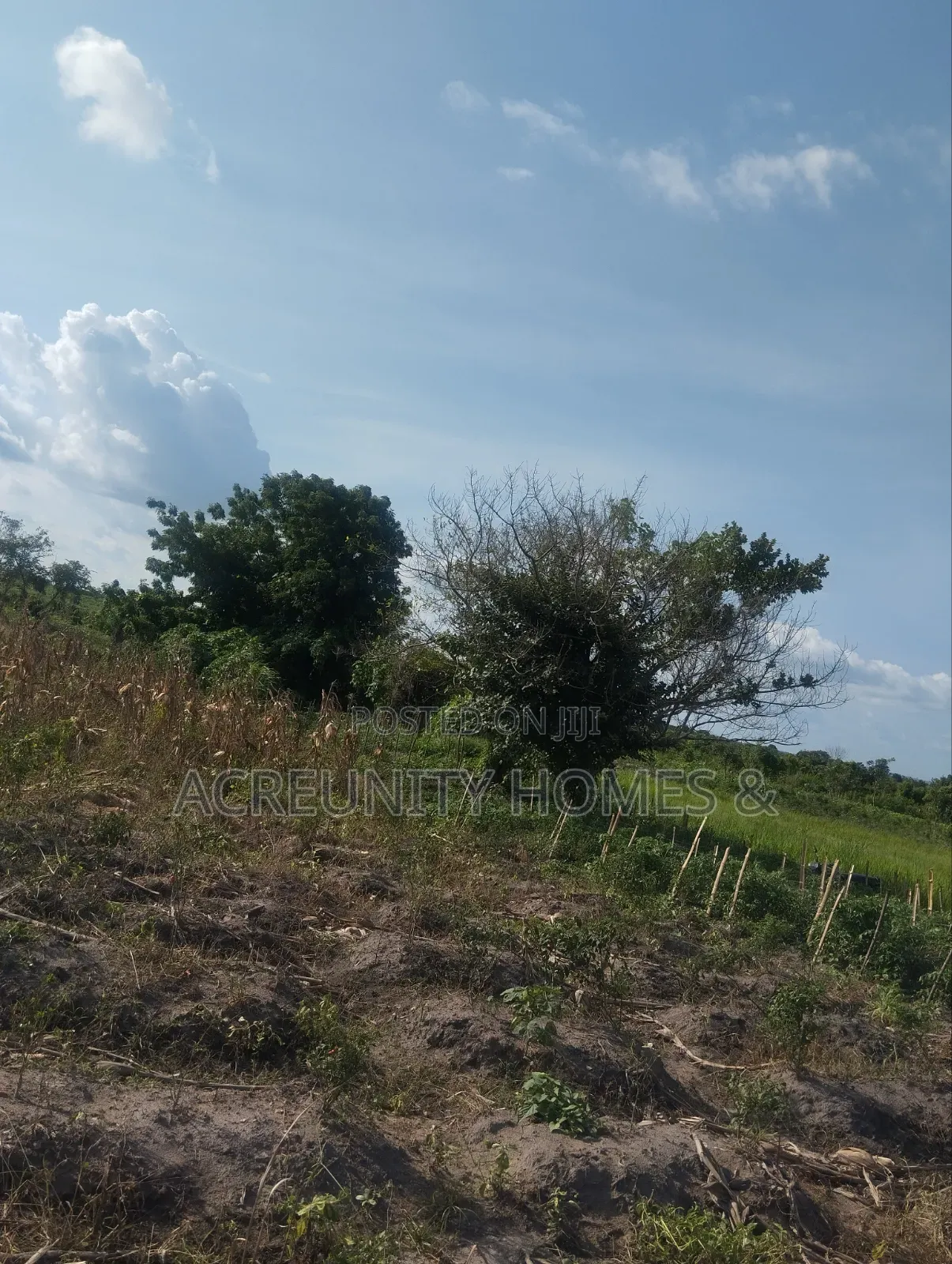 25 Acres of Commercial Land Along Federal Uni of Tech and Agri, Okeho in Kajola