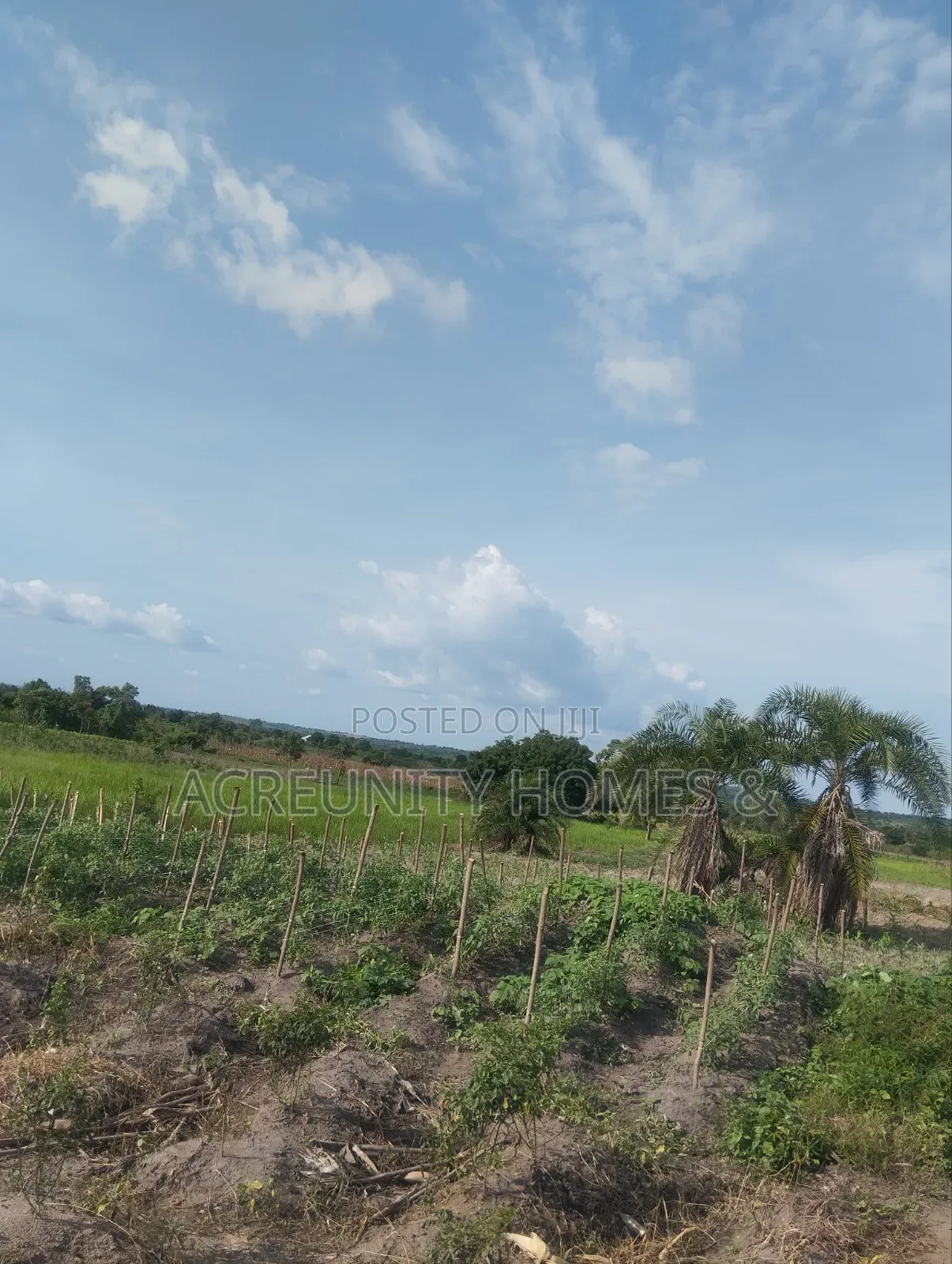 25 Acres of Commercial Land Along Federal Uni of Tech and Agri, Okeho in Kajola