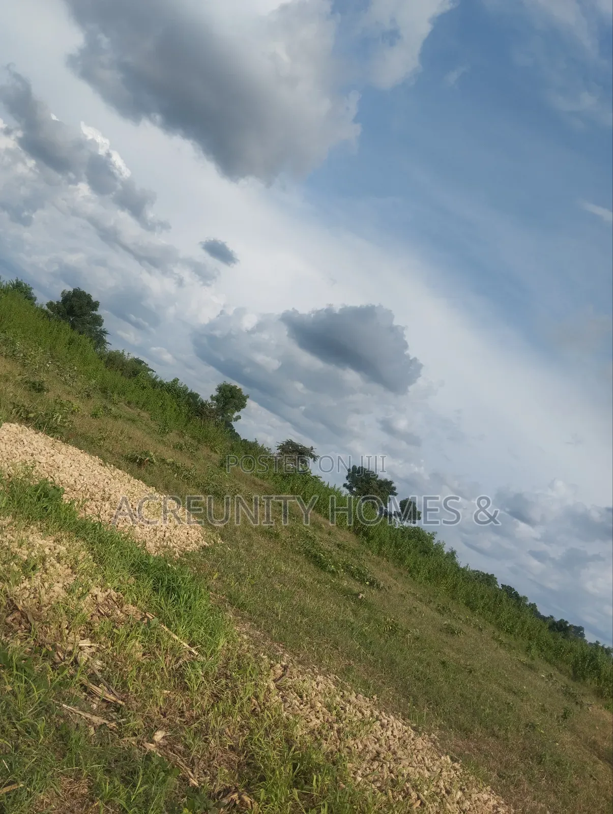 606 Acres of Farmland Available at Edu Village, Along Iseyin-Saki Road in Itesiwaju