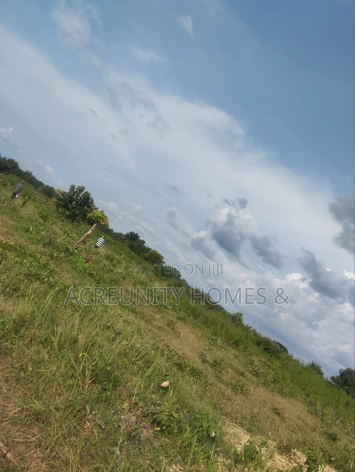 606 Acres of Farmland Available at Edu Village, Along Iseyin-Saki Road in Itesiwaju