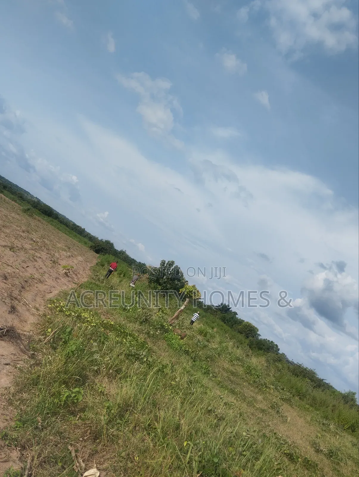 606 Acres of Farmland Available at Edu Village, Along Iseyin-Saki Road in Itesiwaju