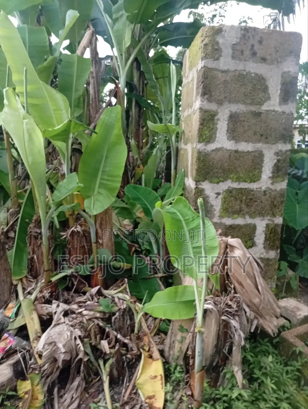 Distress Land for Sale in Uyo