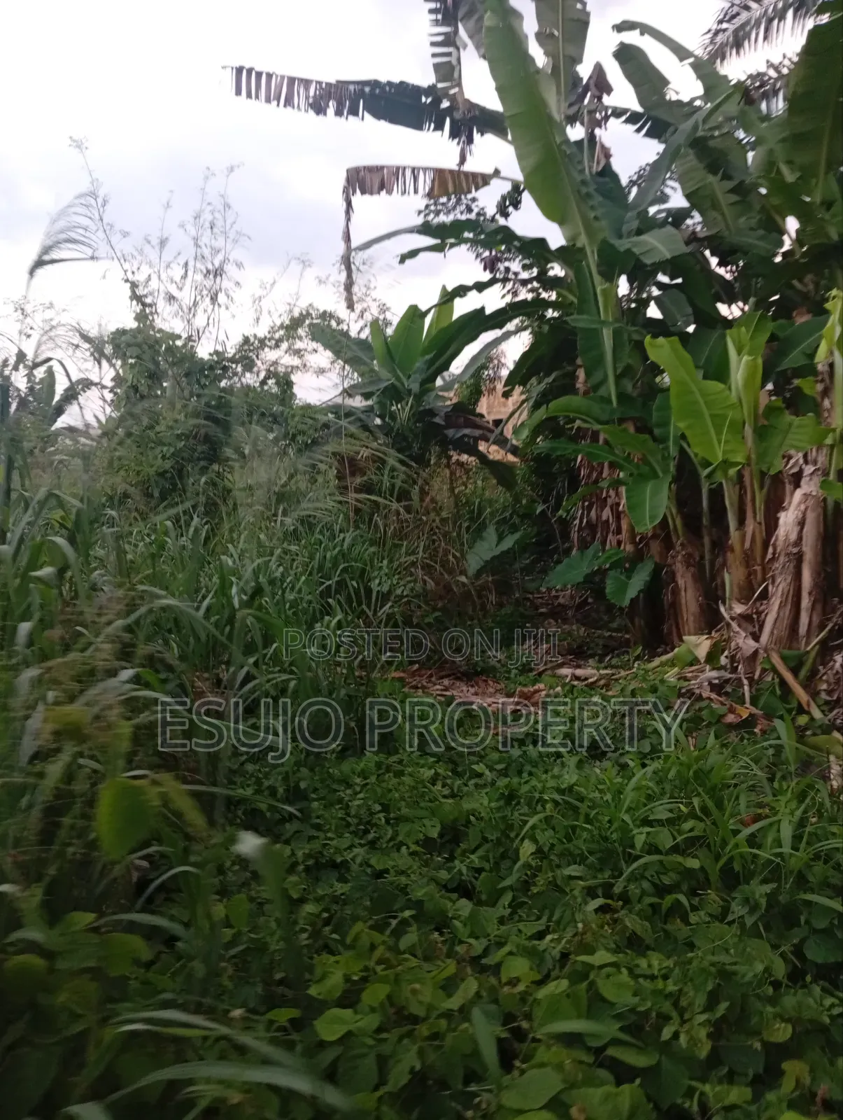 Distress Land for Sale in Uyo