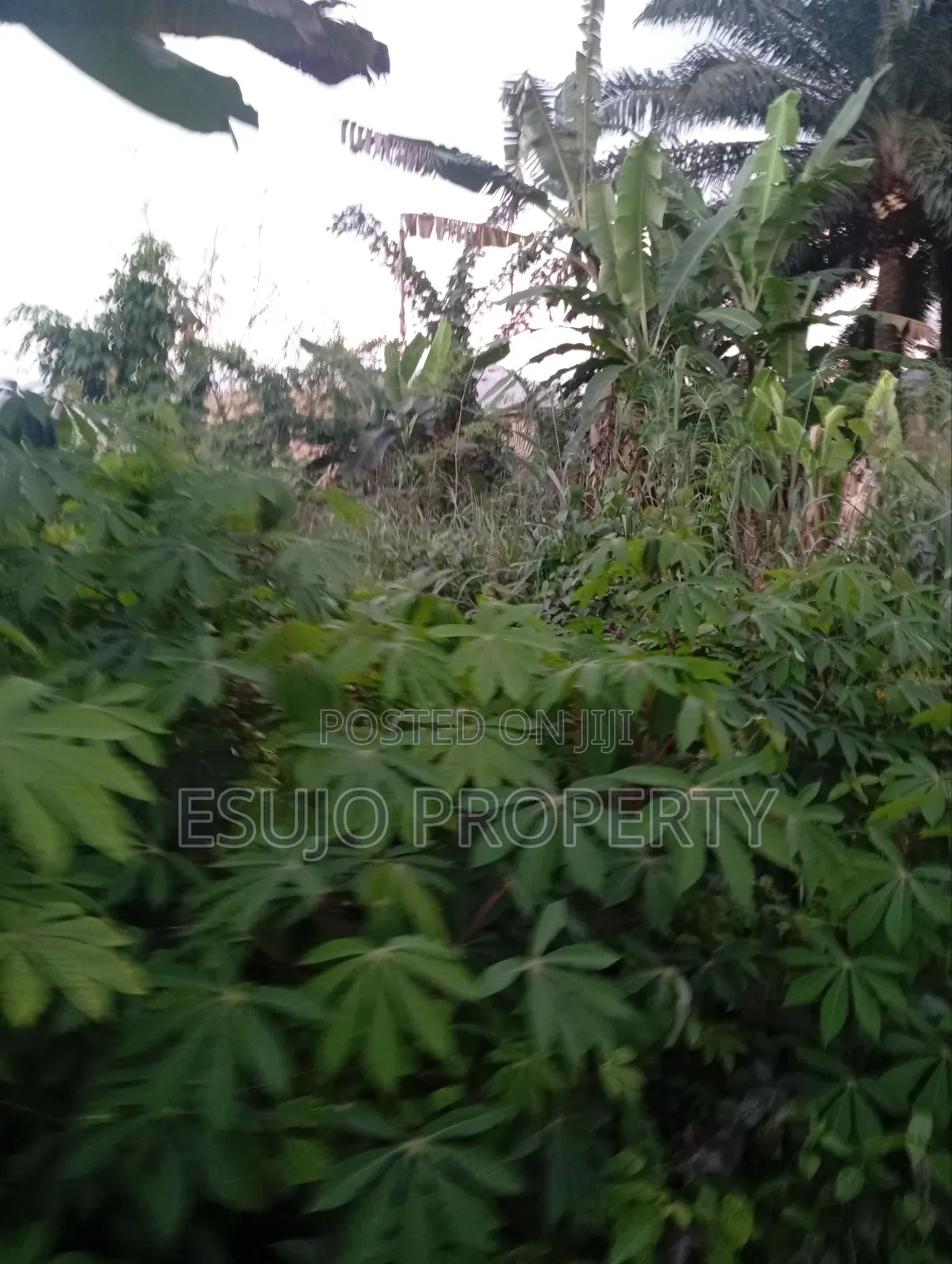 Distress Land for Sale in Uyo