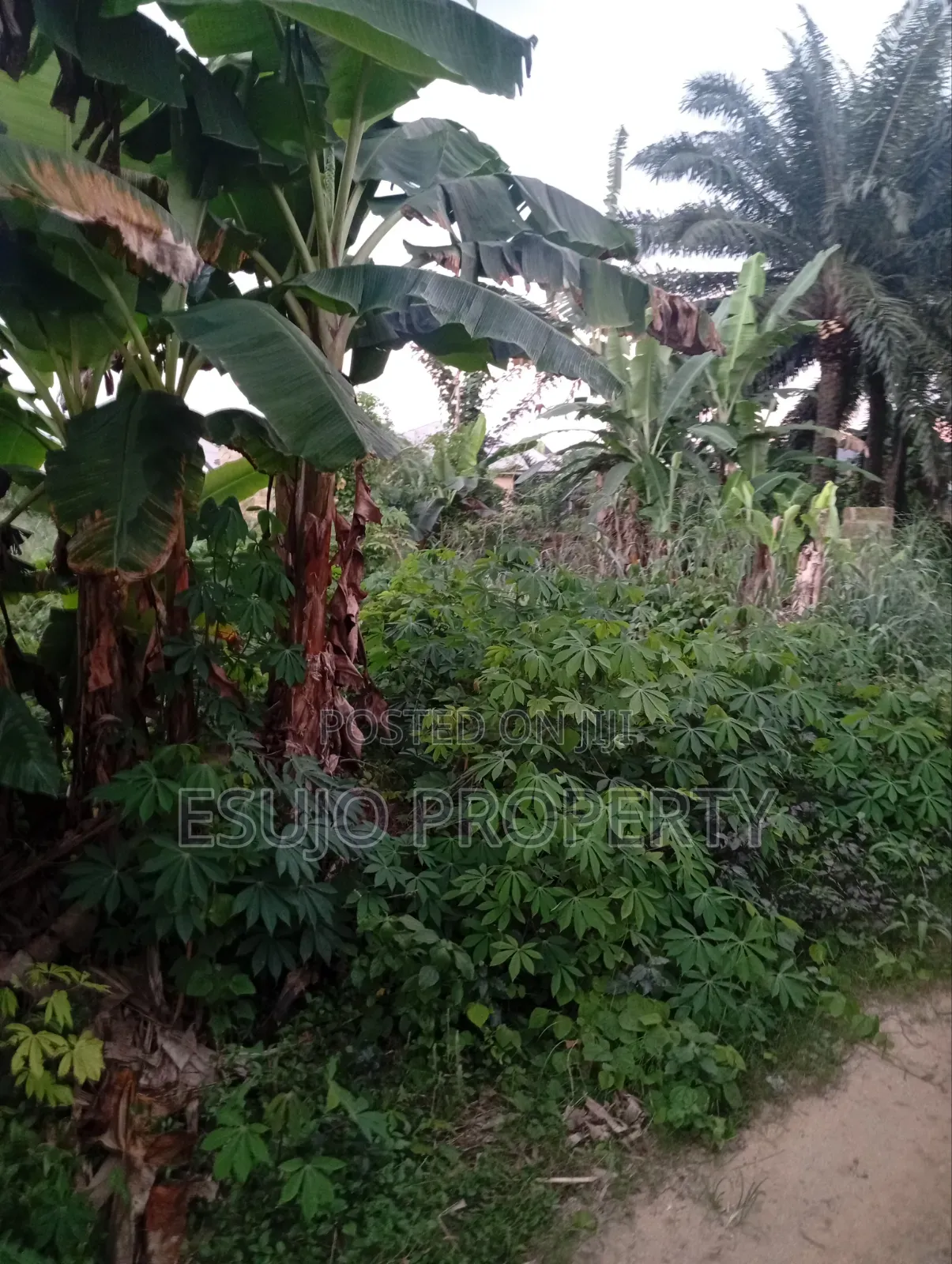 Distress Land for Sale in Uyo