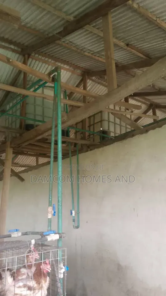Poultry Farm for Sale in Ido