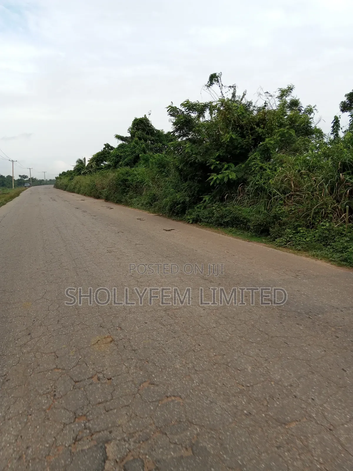 20 Acres Farm Land for Sale in Owode Ilaro Road in Ado-Odo/Ota