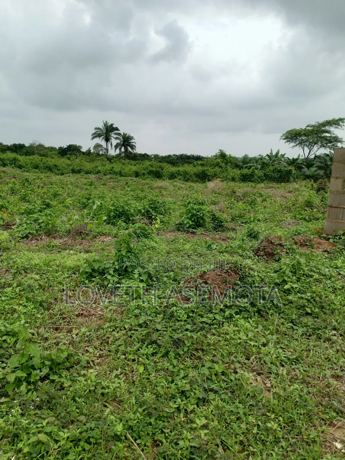 Land for Sale in Ibeju Lekki – Casabela Coastal City | 300SQM & 500SQM in Eleko