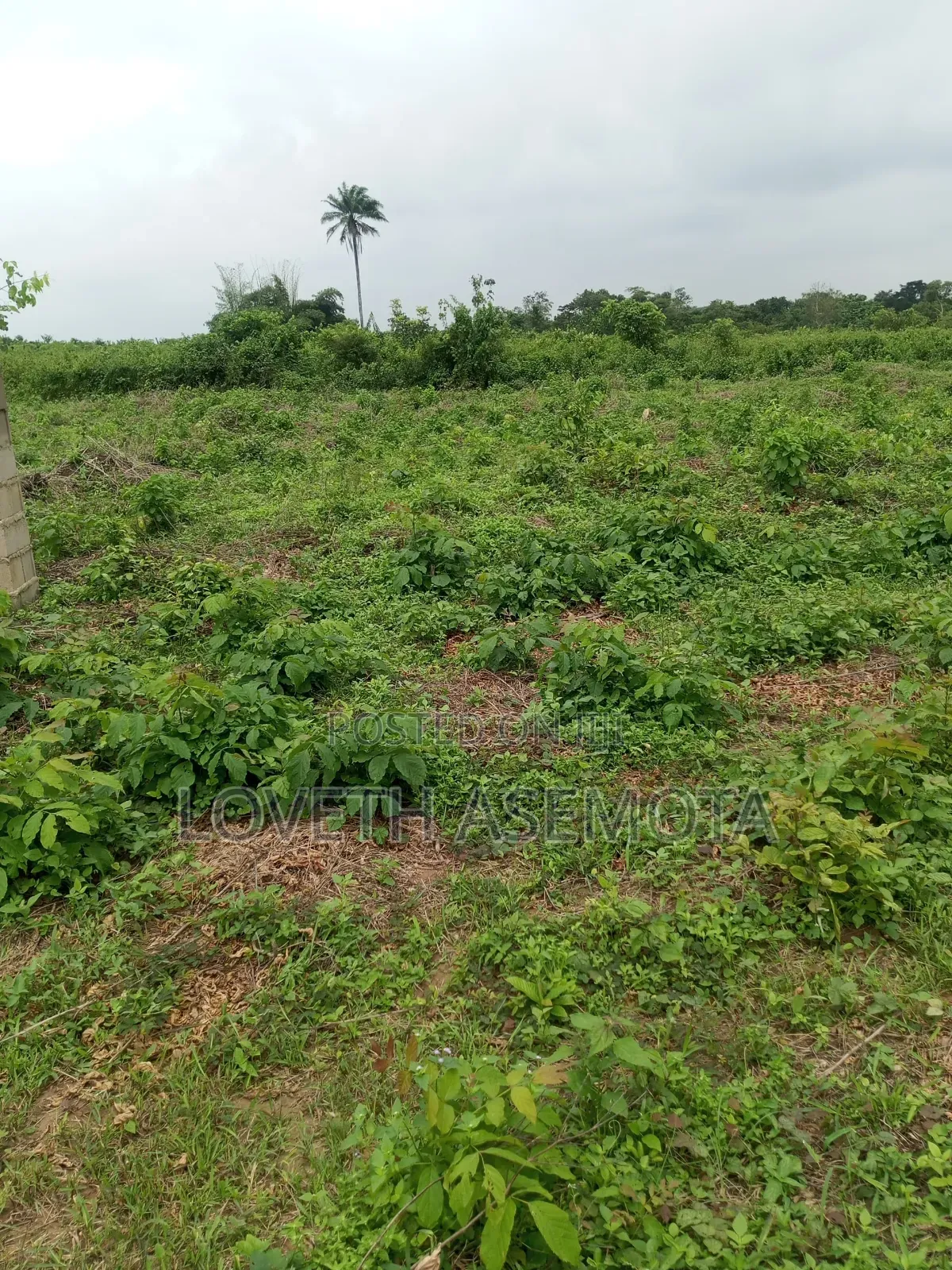 Land for Sale in Ibeju Lekki – Casabela Coastal City | 300SQM & 500SQM in Eleko