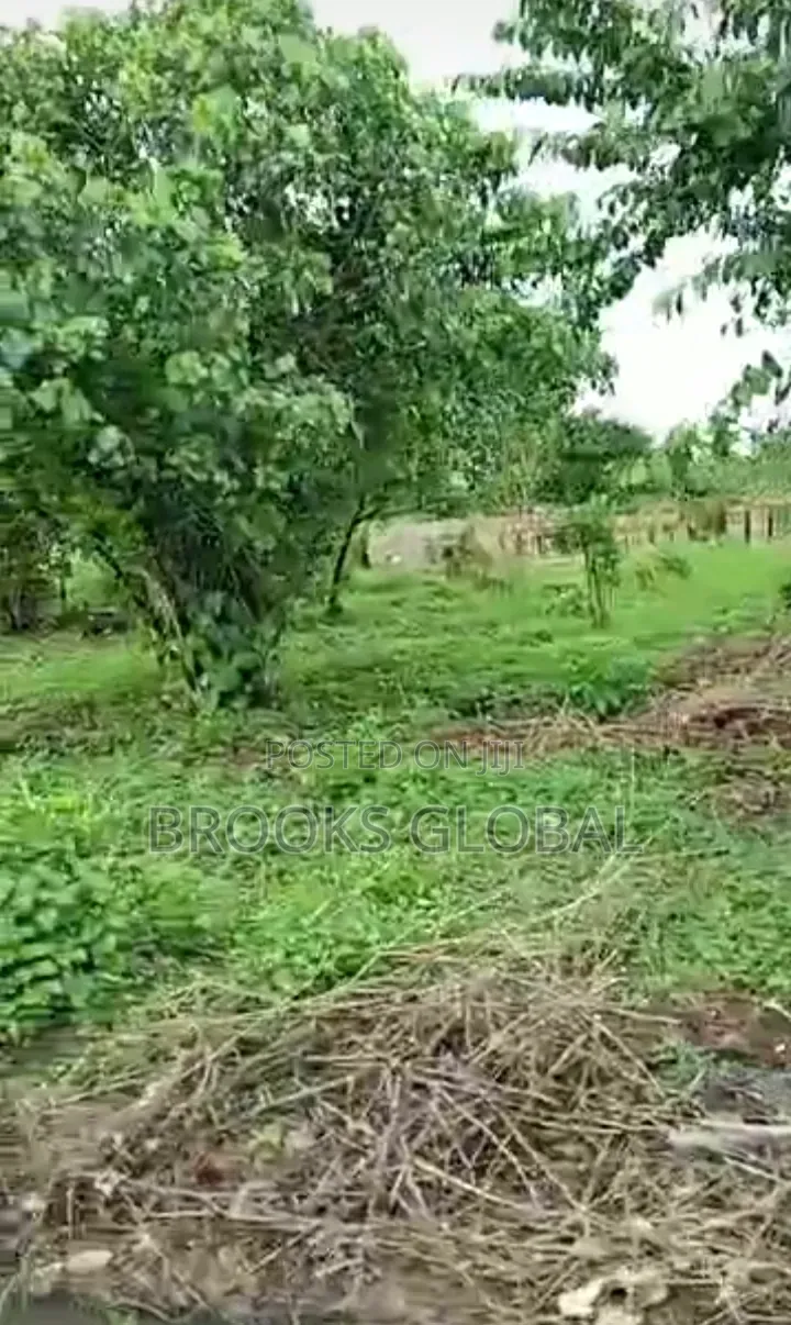 A Flat Land of 100/100 Egbo, After Otokutu for Sale in Warri