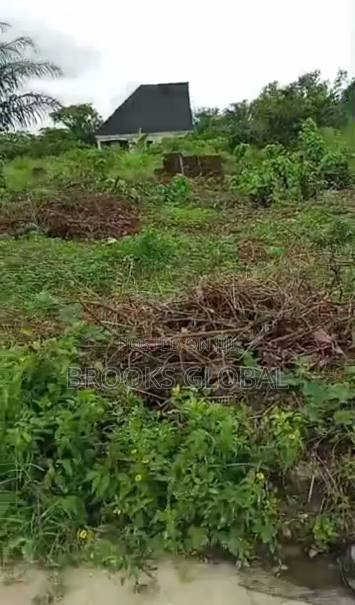 A Flat Land of 100/100 Egbo, After Otokutu for Sale in Warri