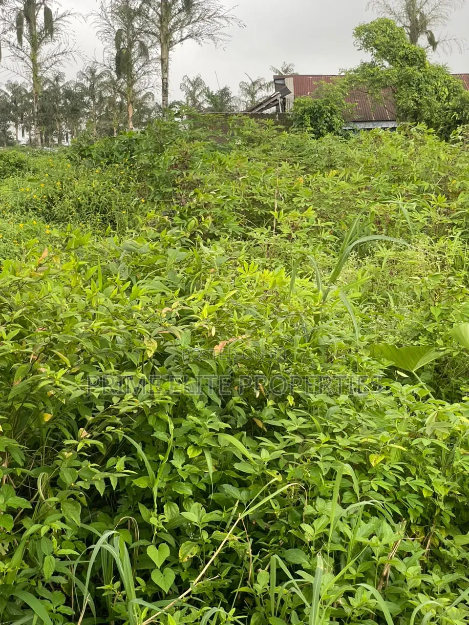 Buy and Build 546SQM Land -High Tension Pole Negotiable for Removal. in Uyo