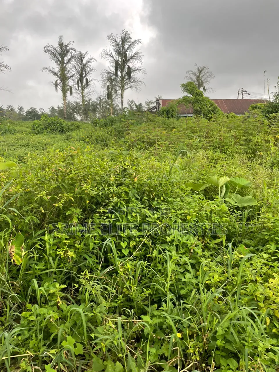Buy and Build 546SQM Land -High Tension Pole Negotiable for Removal. in Uyo
