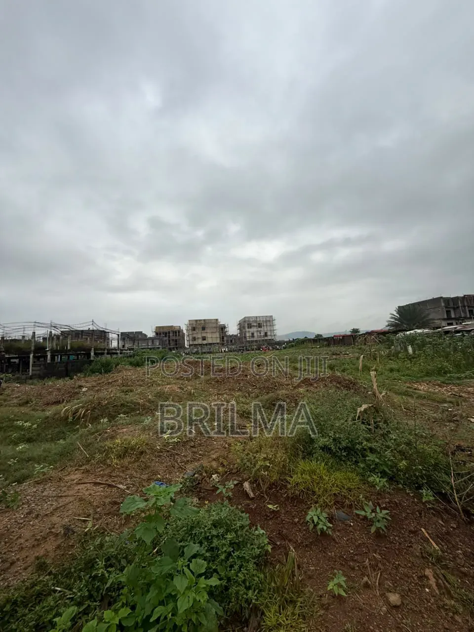 4,000 SQM of Residential Land in Jahi for Sale in Jahi