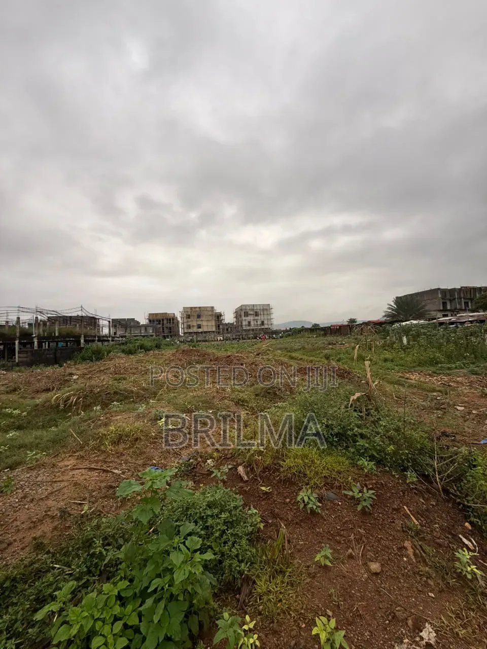 4,000 SQM of Residential Land in Jahi for Sale in Jahi