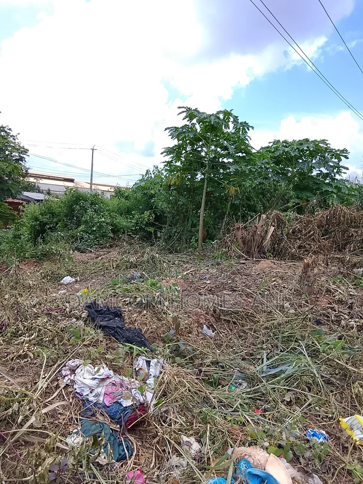 Prime Road Side Land for Sale in Apata in Apata