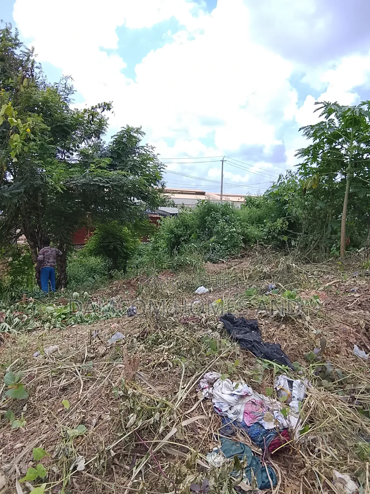 Prime Road Side Land for Sale in Apata in Apata