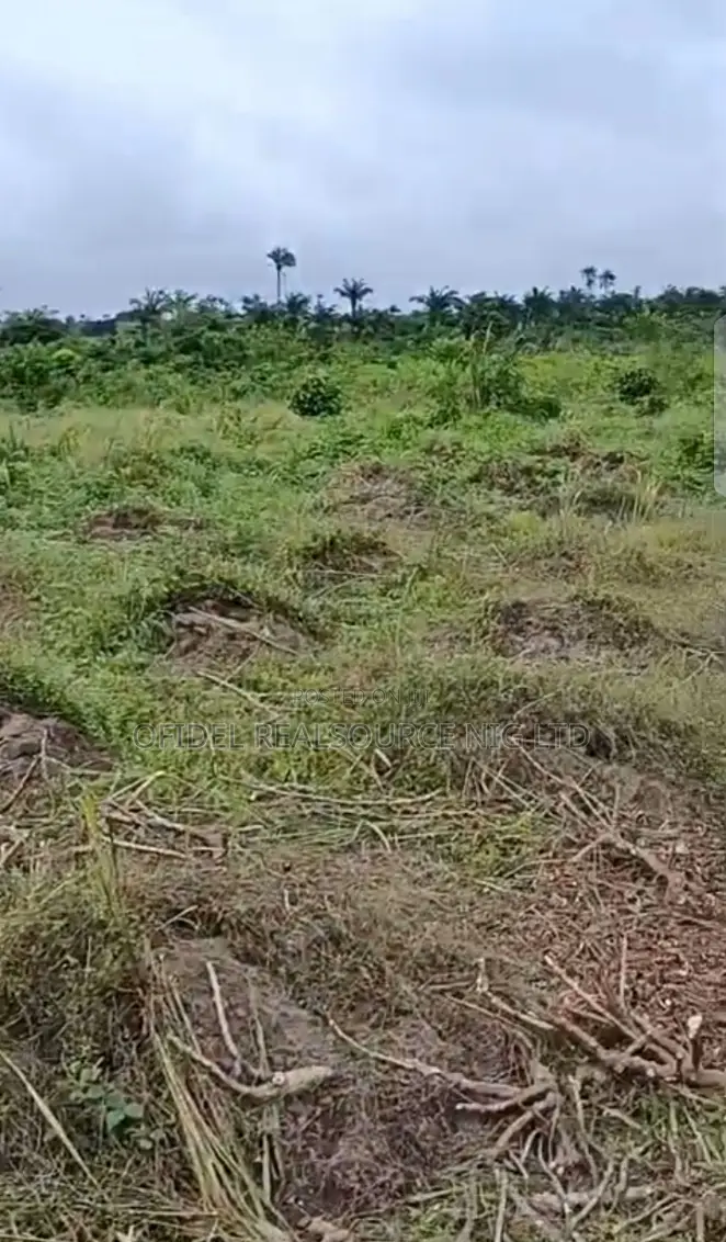 100 by 100 Table Land Opposite Admiral University 4 Mins to Asaba in Oshimili North