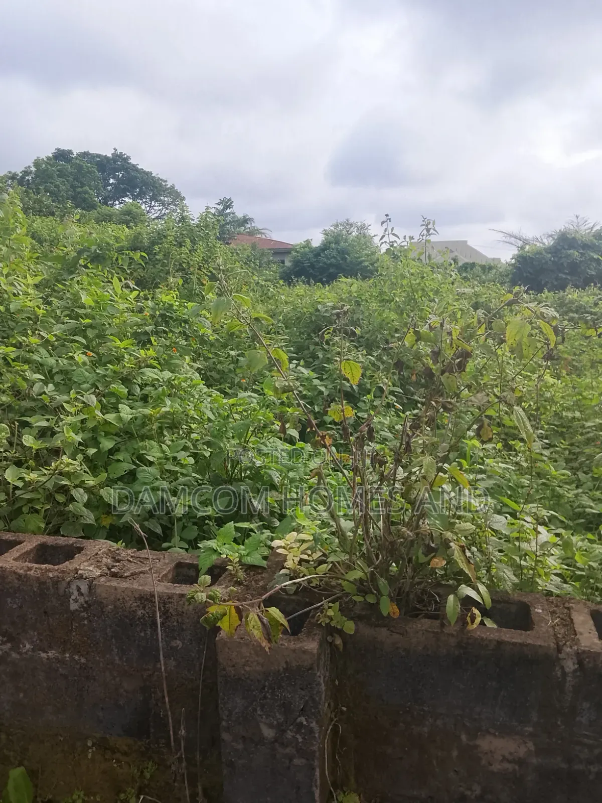 Fish Pond Land for Sale in Apata