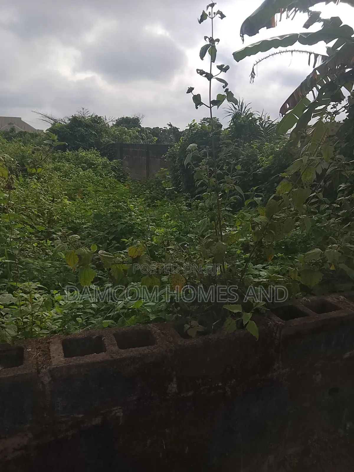 Fish Pond Land for Sale in Apata