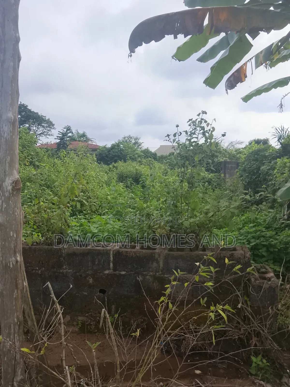 Fish Pond Land for Sale in Apata