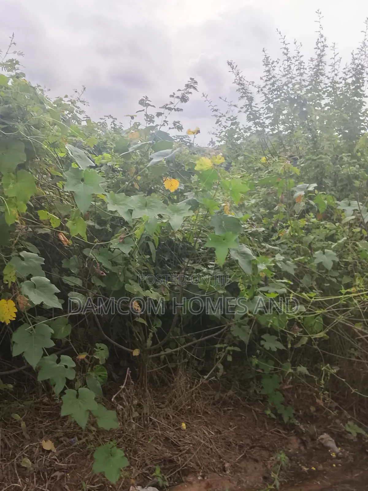 Fish Pond Land for Sale in Apata