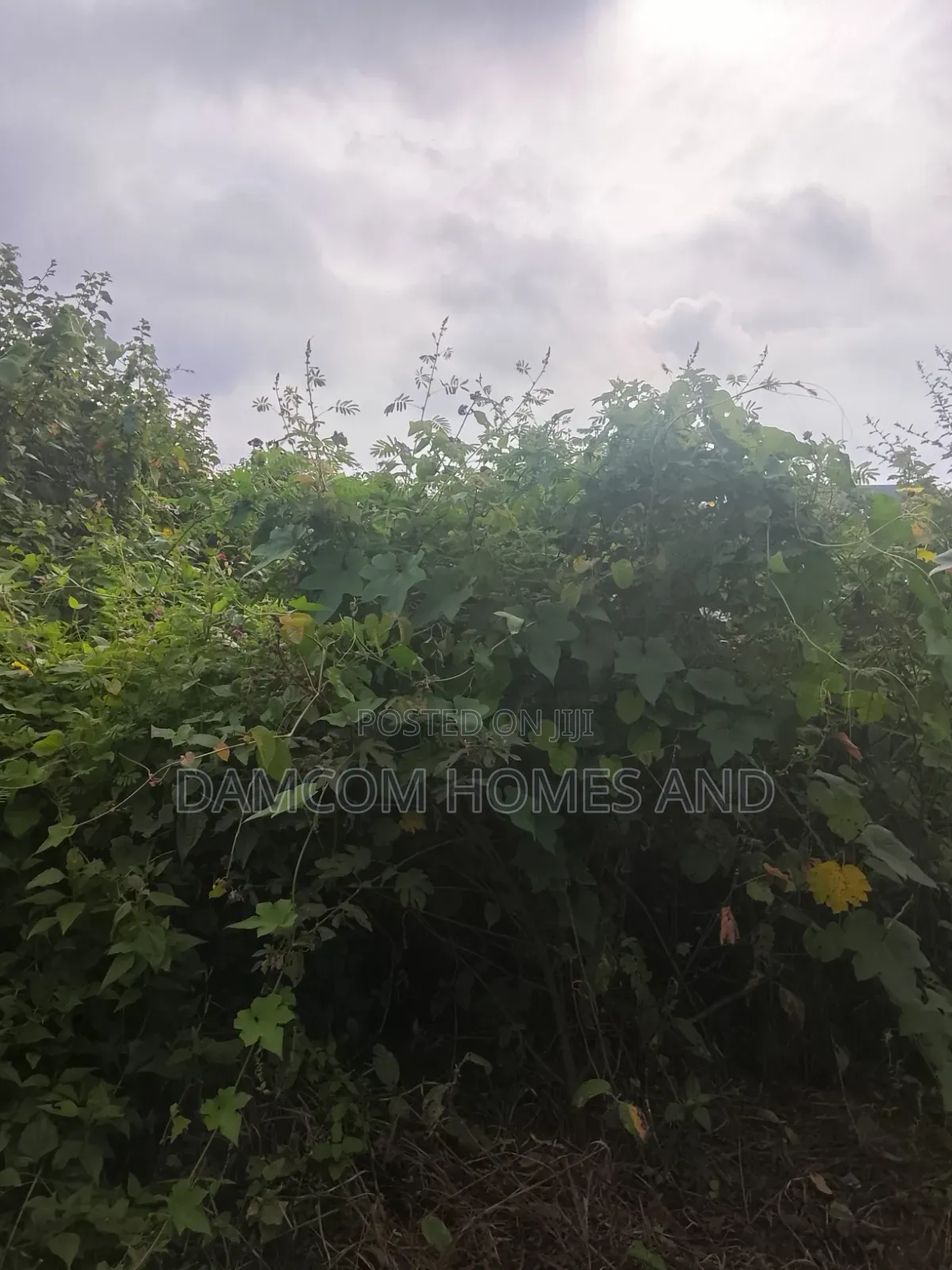 Fish Pond Land for Sale in Apata