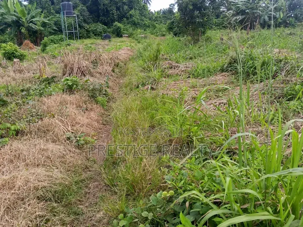 500 Acres of Farm Land for Sale in Ibadan, Oyo State in Lagelu