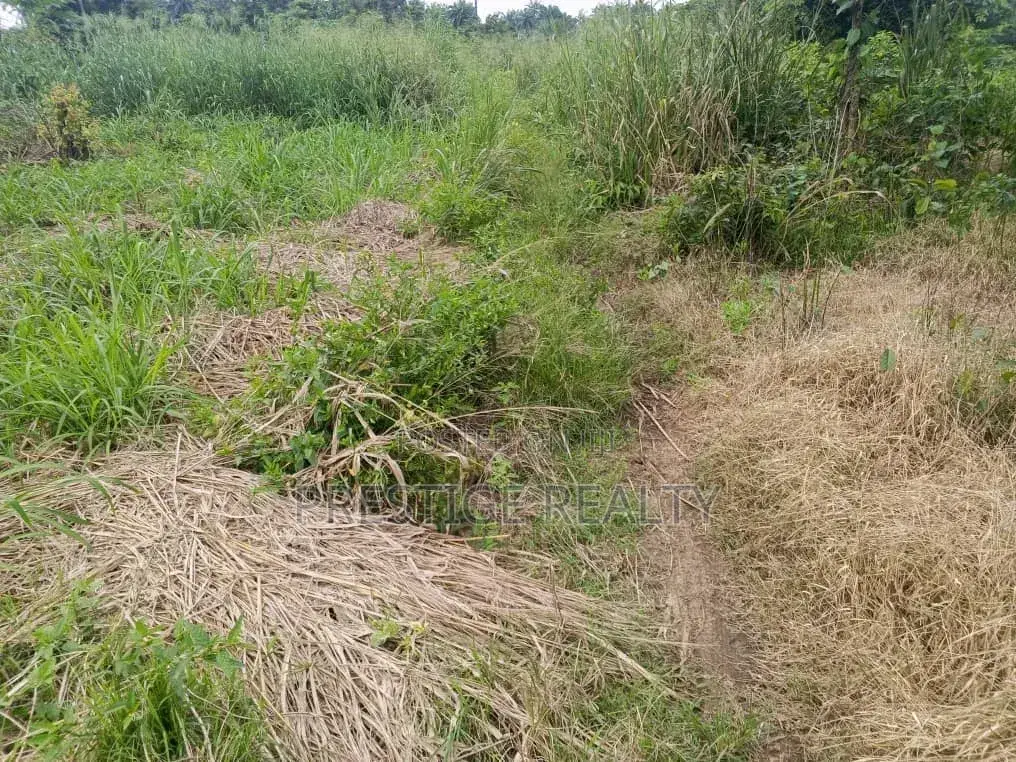 500 Acres of Farm Land for Sale in Ibadan, Oyo State in Lagelu