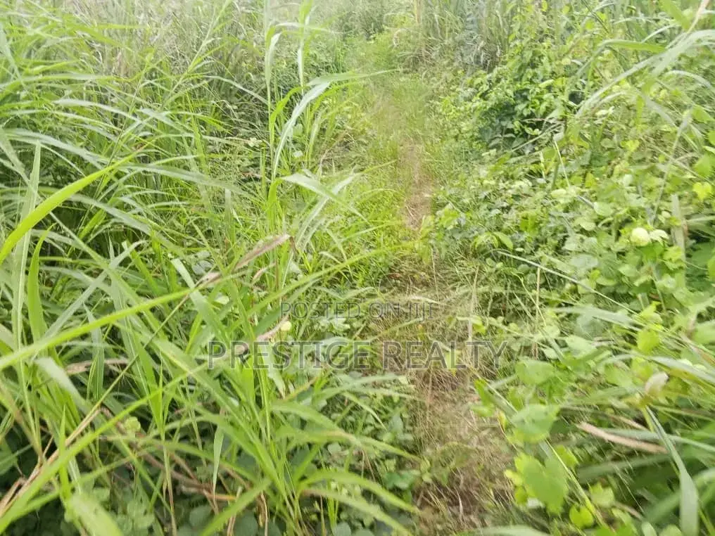 500 Acres of Farm Land for Sale in Ibadan, Oyo State in Lagelu