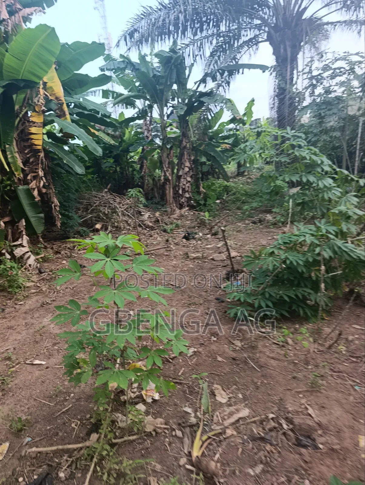 3 Plots of Land for Sale at Ipaja Lagos in Alimosho