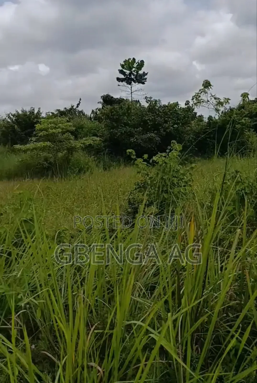 223 Acres of Land Facing Lagos-Ibadan Expressway Opposite NNPC in Obafemi-Owode