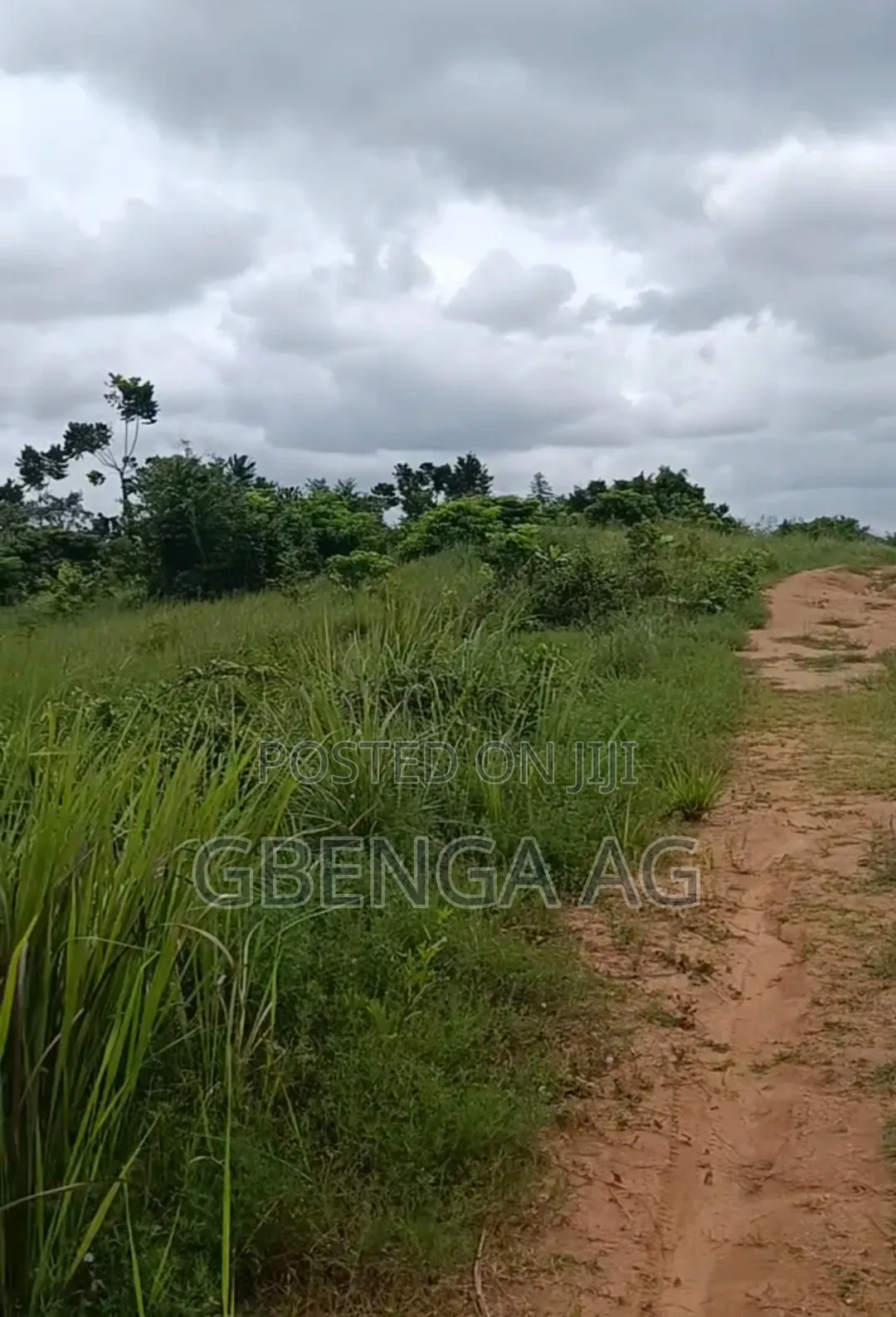 223 Acres of Land Facing Lagos-Ibadan Expressway Opposite NNPC in Obafemi-Owode