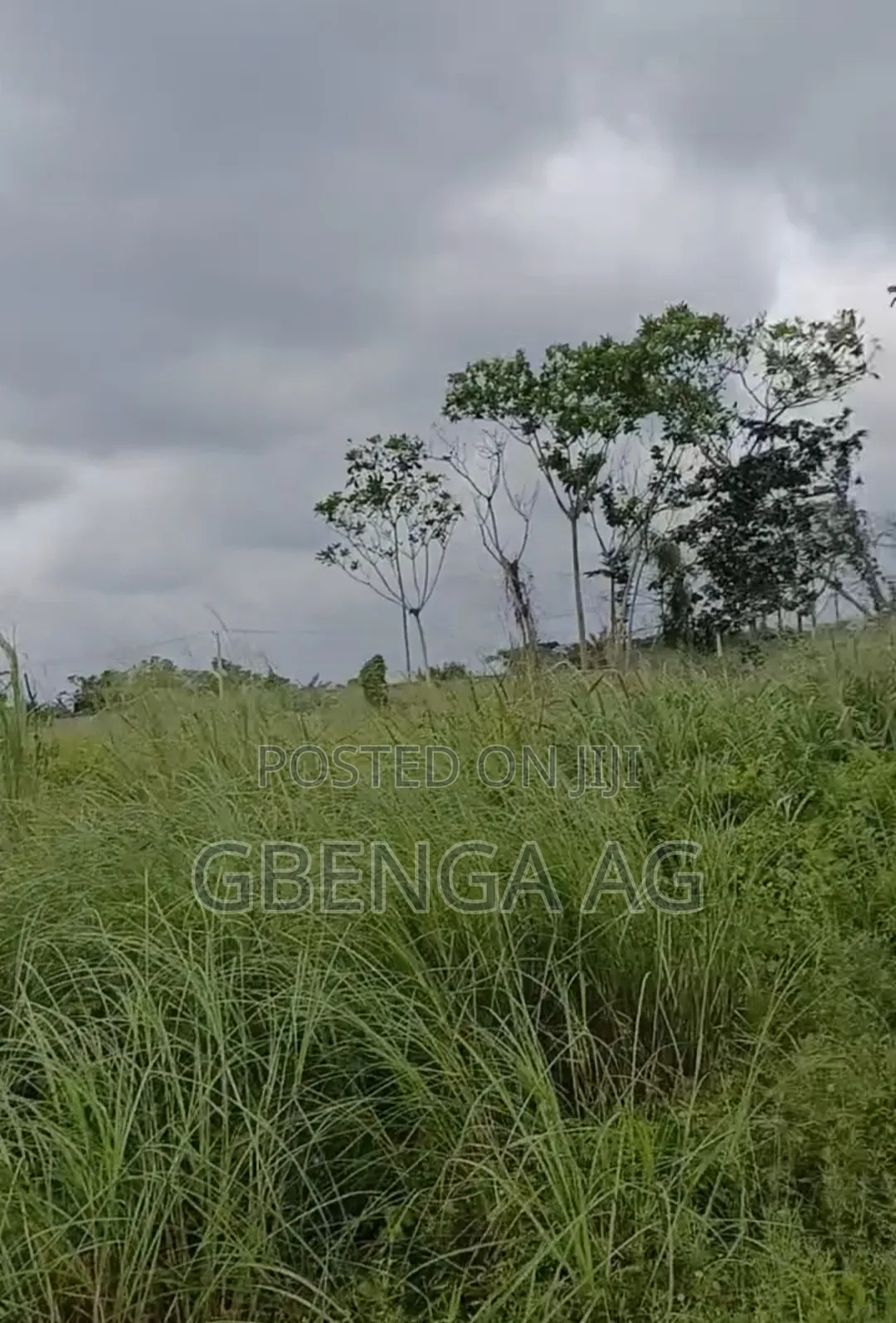 53 Acres of Land With 3 Warehouses at Sagamu-Ore Road in Obafemi-Owode