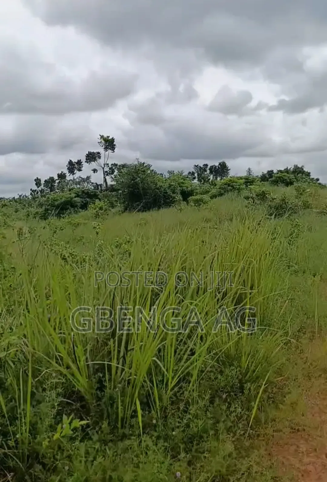 110 Acres of Land Opposite Bigi Cola Factory Before Ijebu Ode in Ijebu