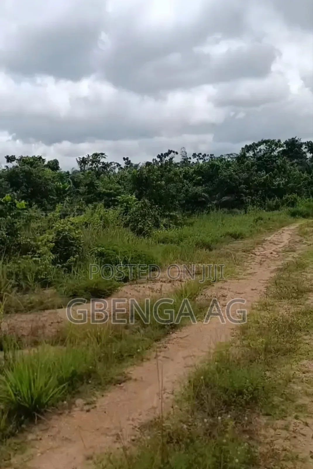 110 Acres of Land Opposite Bigi Cola Factory Before Ijebu Ode in Ijebu