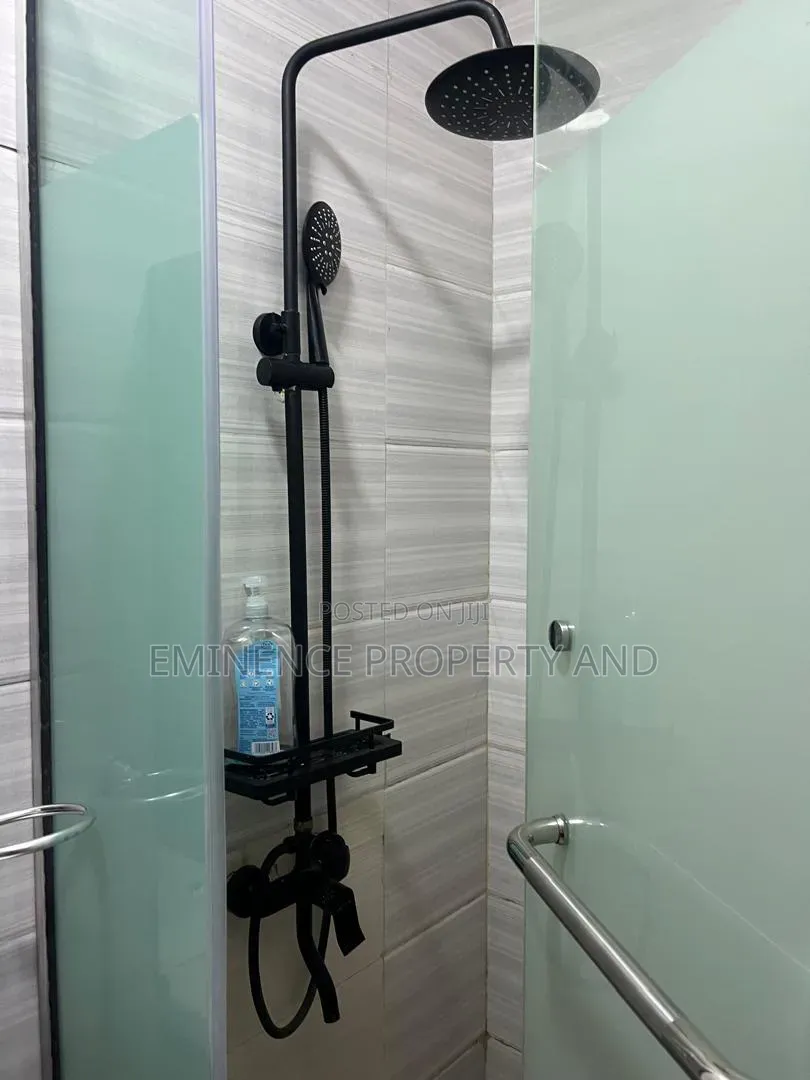 Furnished 1bdrm Apartment in Old Ikoyi for rent in Old Ikoyi
