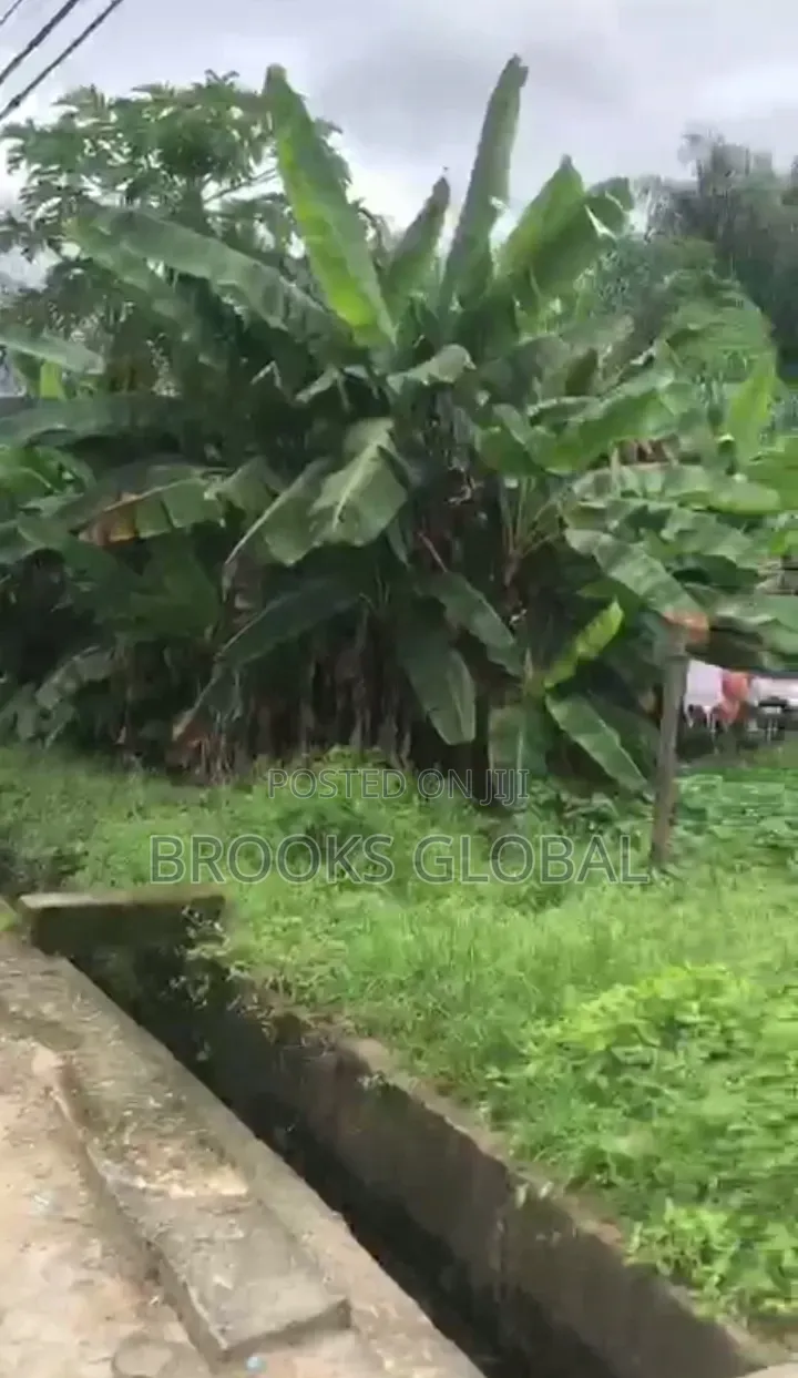 A Flat Land of 120/100 at Off Jakpa Rd, Warri for Sale in Warri