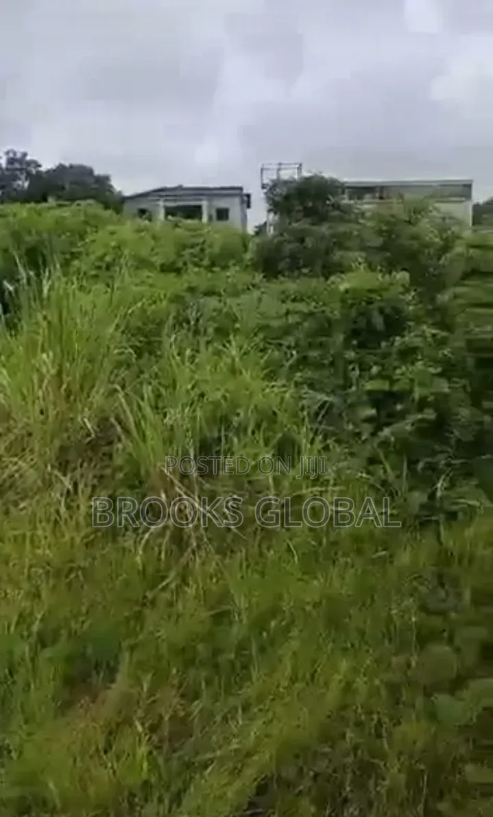 Sharp Land of 50/100 Chalisco, Off NPA Express, Warri for Sale in Warri