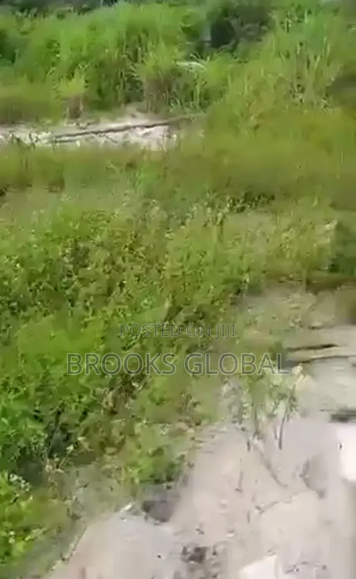 Sharp Land of 50/100 Chalisco, Off NPA Express, Warri for Sale in Warri