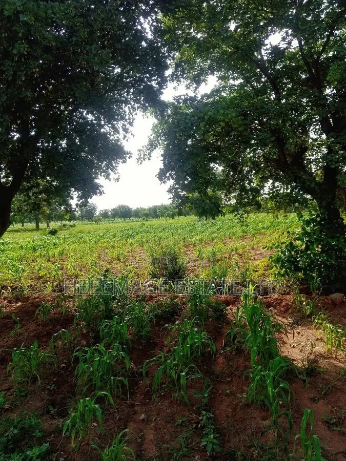 10hectares Multifunction Land in Paiko Kore Village Extension in Giri
