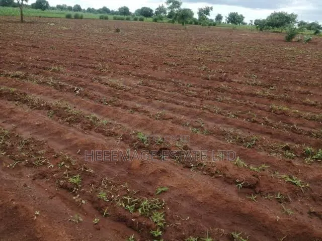 10hectares Multifunction Land in Paiko Kore Village Extension in Giri