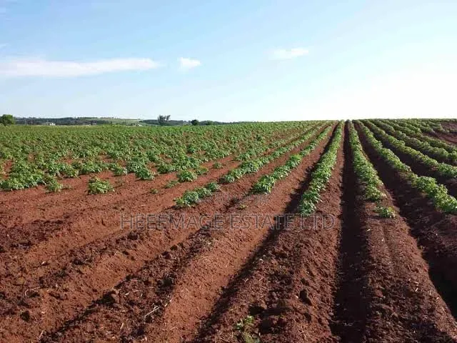 10hectares Multifunction Land in Paiko Kore Village Extension in Giri